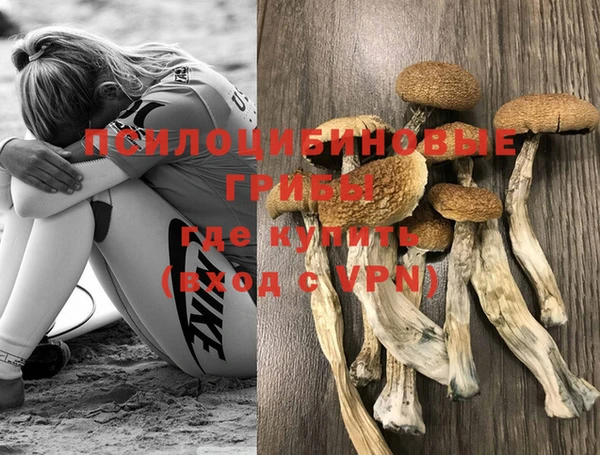 молекула духа Нязепетровск